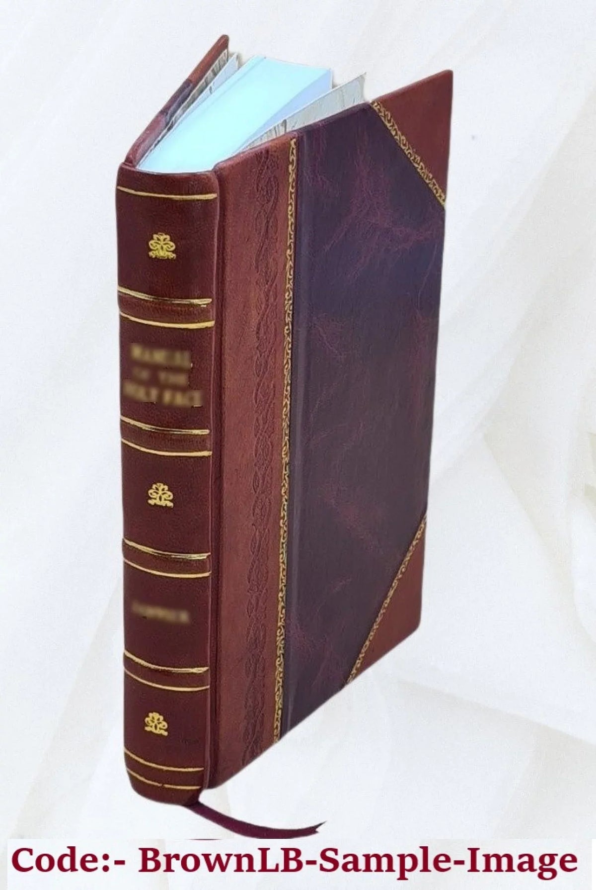 The best ghost stories; 1919 [Leather Bound]