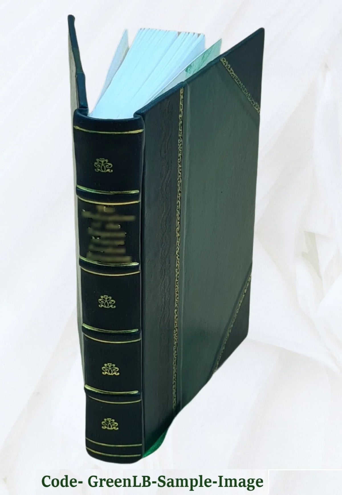 Report of the results obtained with experimental filters at the Pettaconset pumping station of the Providence water works 1896 [Leather Bound]