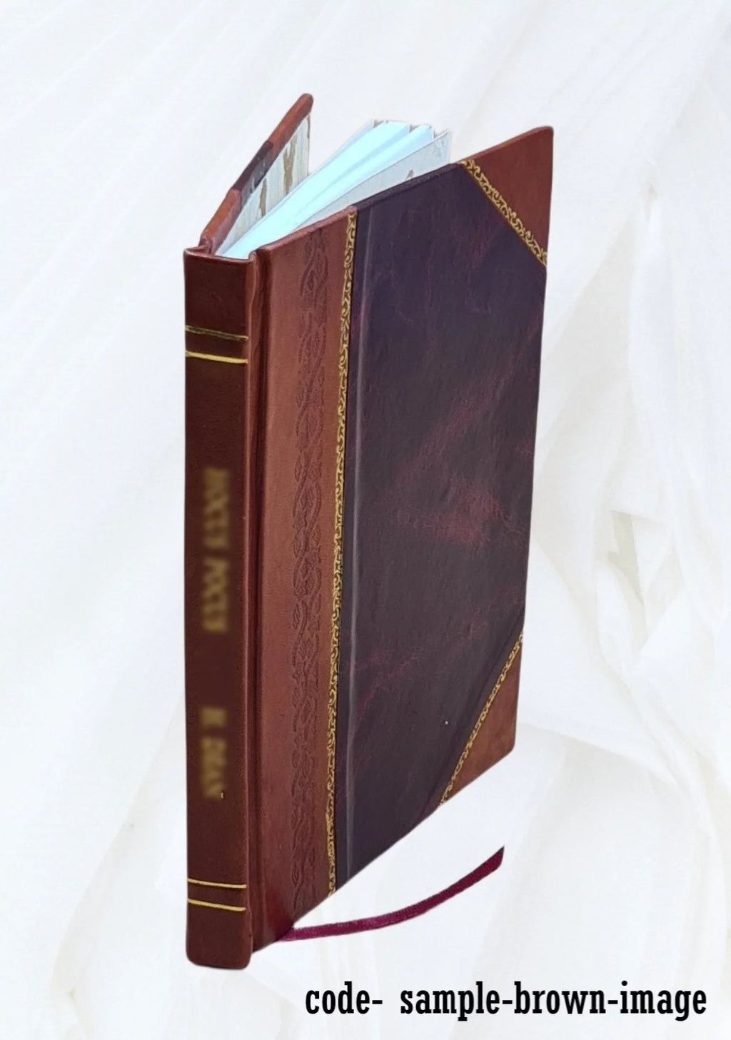 Edinburgh & Glasgow to Stirling, : Doune, Callander, Lake of Menteith, Loch Ard, Loch Achray, the Trosachs, Loch Katrine, Loch Lomond... 1873 [Leather Bound]